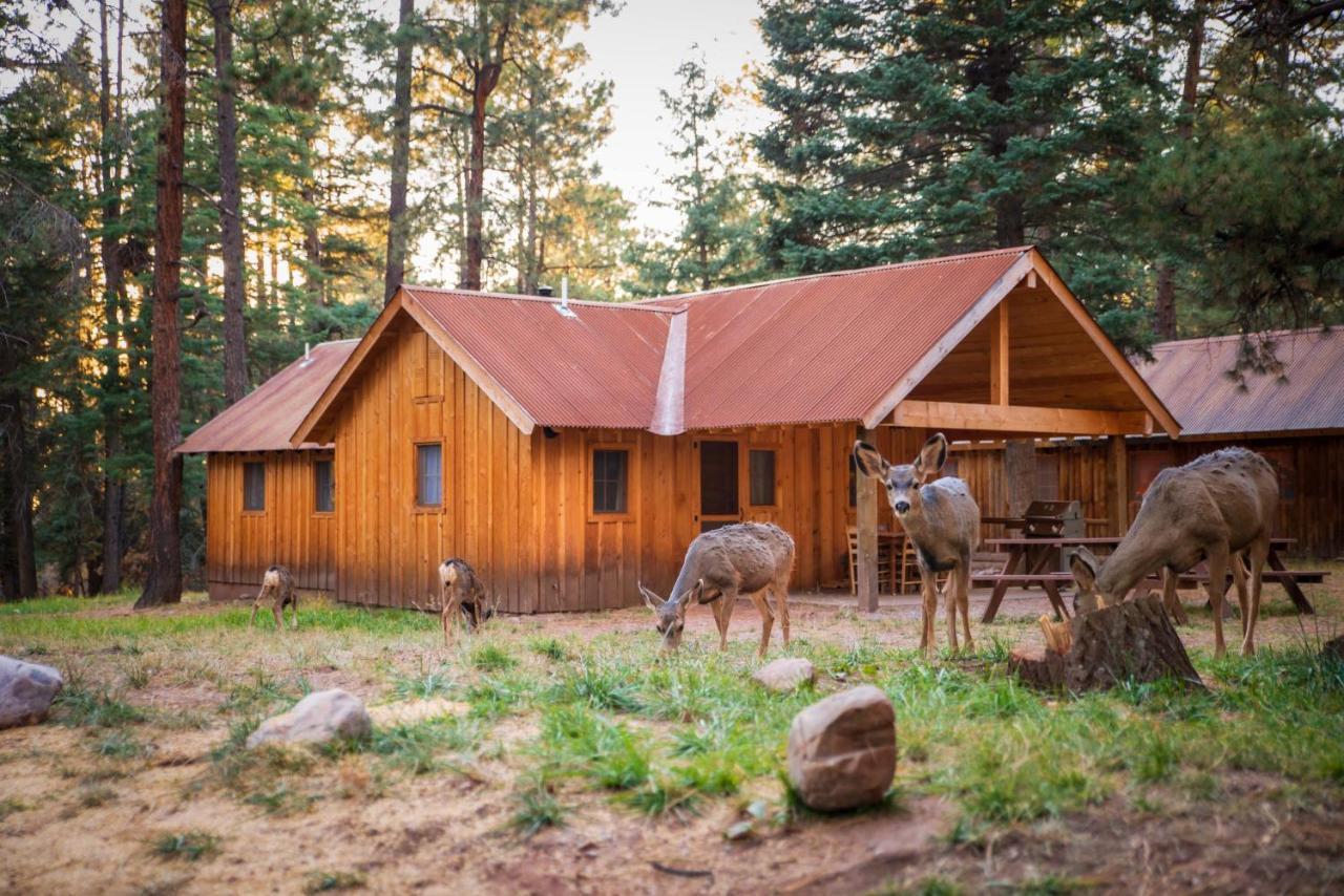 Corkins Lodge Chama Экстерьер фото