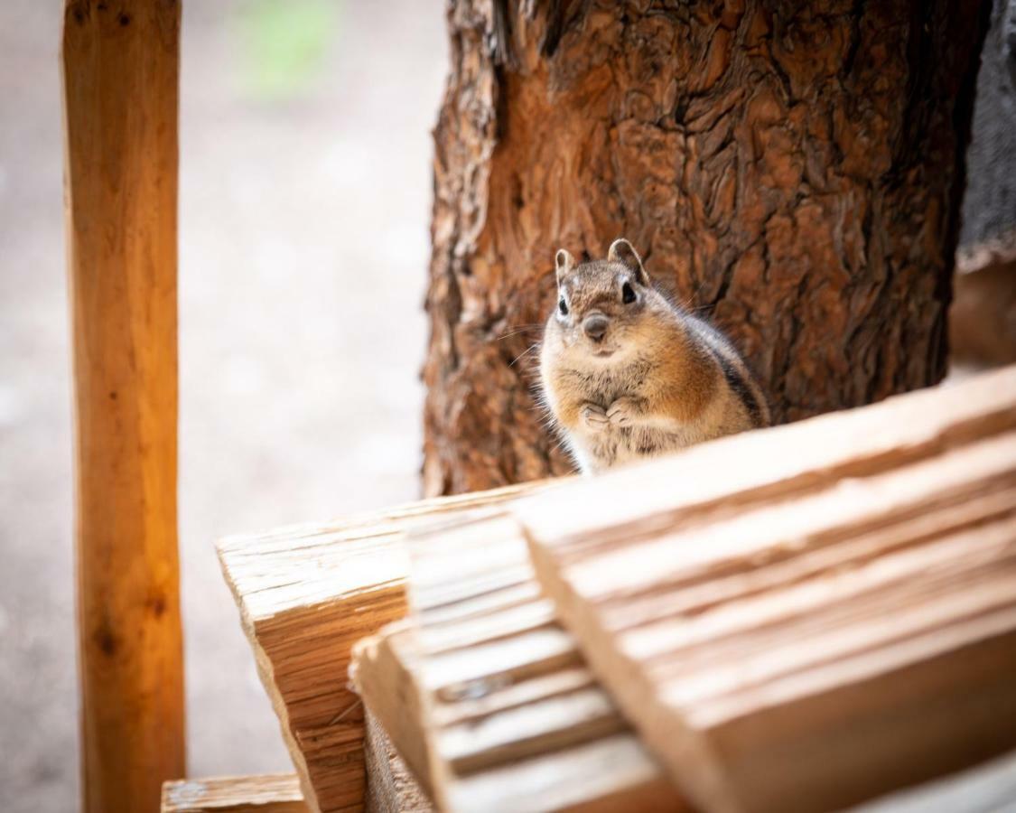 Corkins Lodge Chama Экстерьер фото